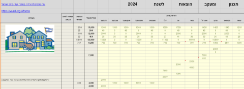 תכנון תקציב שנתי ומעקב אחר ביצועו